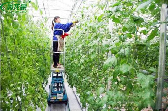 全地形摘菜機(jī) 全地形摘菜機(jī)